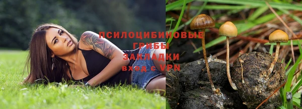 трава Верхний Тагил