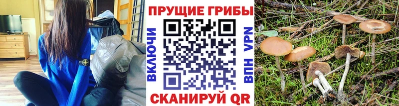 Псилоцибиновые грибы прущие грибы  omg ССЫЛКА  Челябинск 